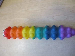  Rainbow poppet caterpillar 