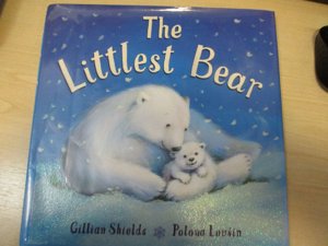 The littlest bear 